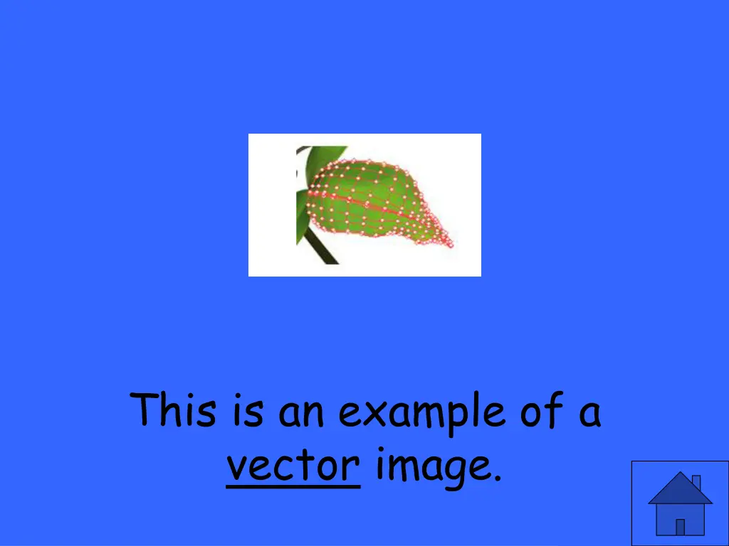 this is an example of a vector image