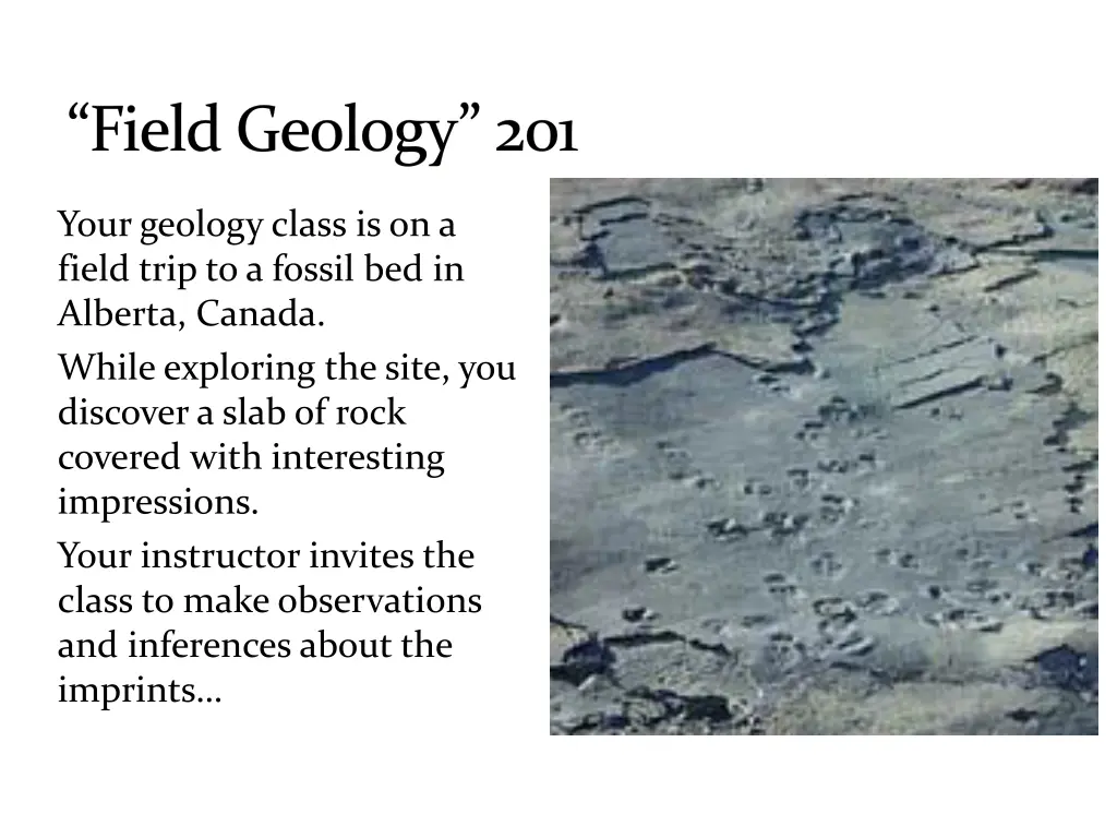 field geology 201