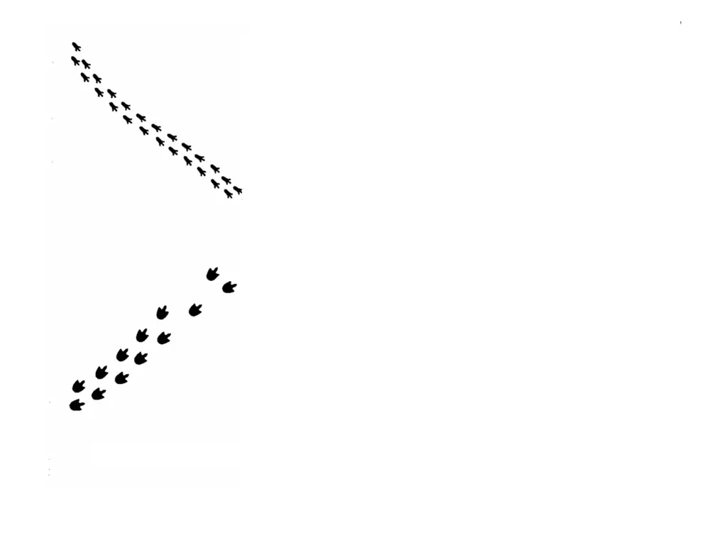 slide21