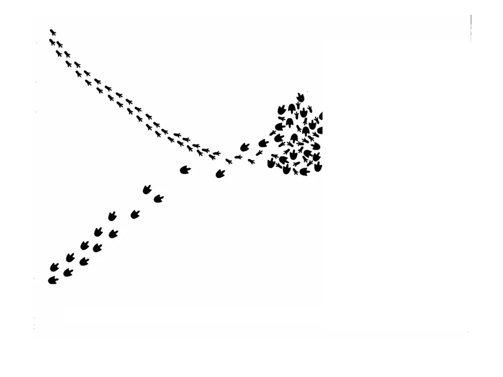 slide22