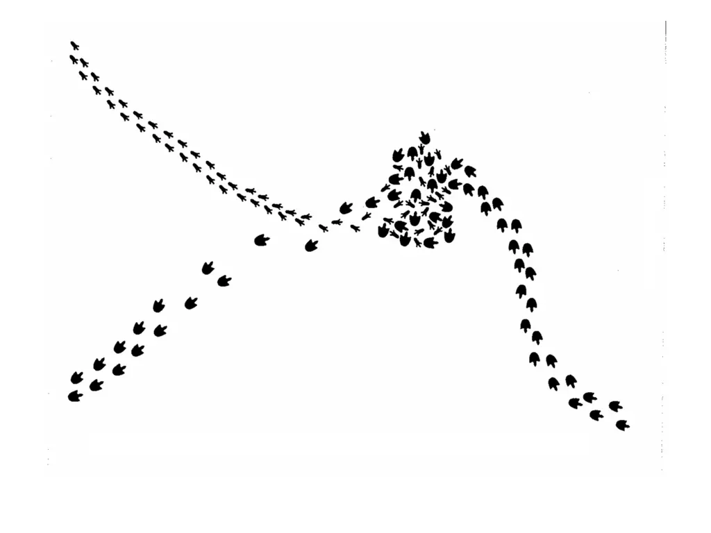 slide23