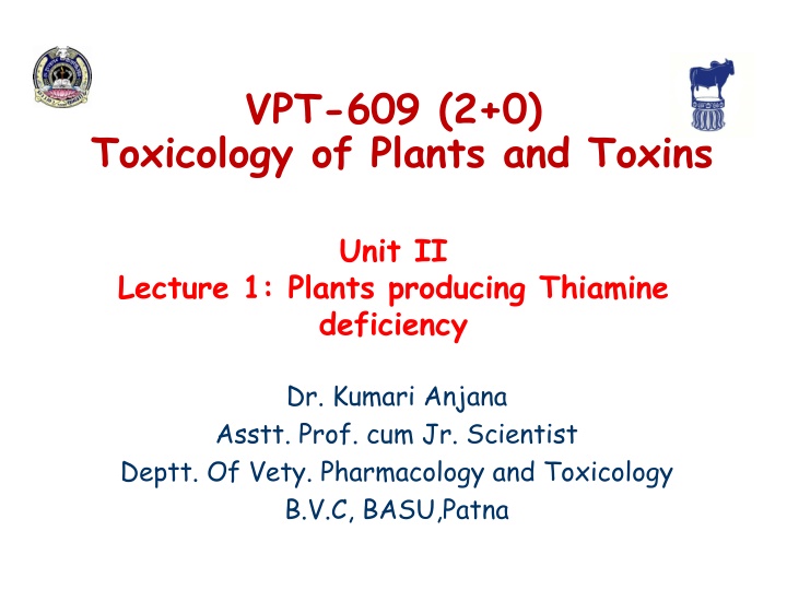 vpt 609 2 0