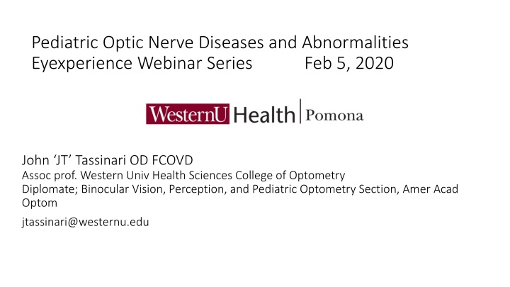 pediatric optic nerve diseases and abnormalities