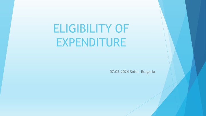 eligibility of expenditure