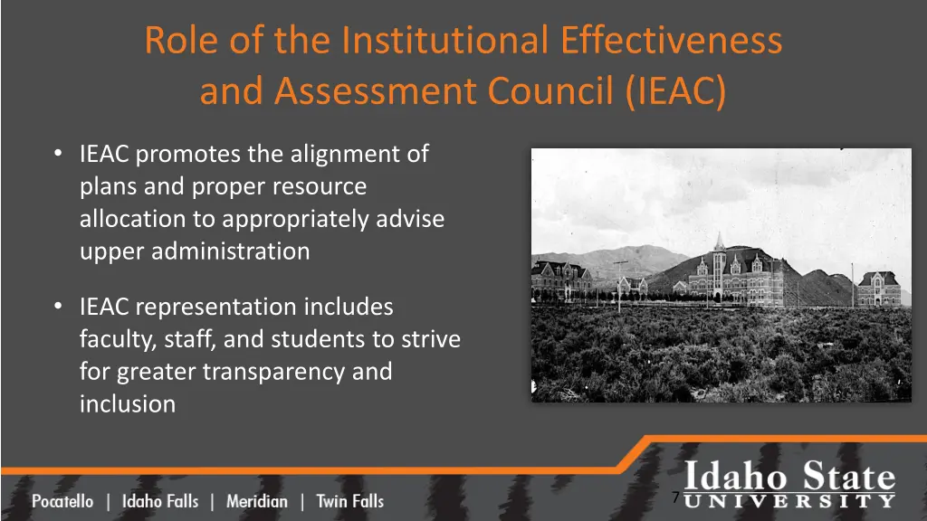 role of the institutional effectiveness