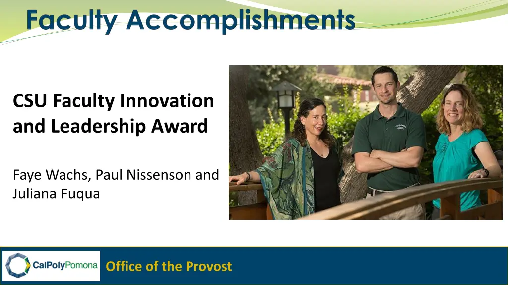 csu faculty innovation and leadership award