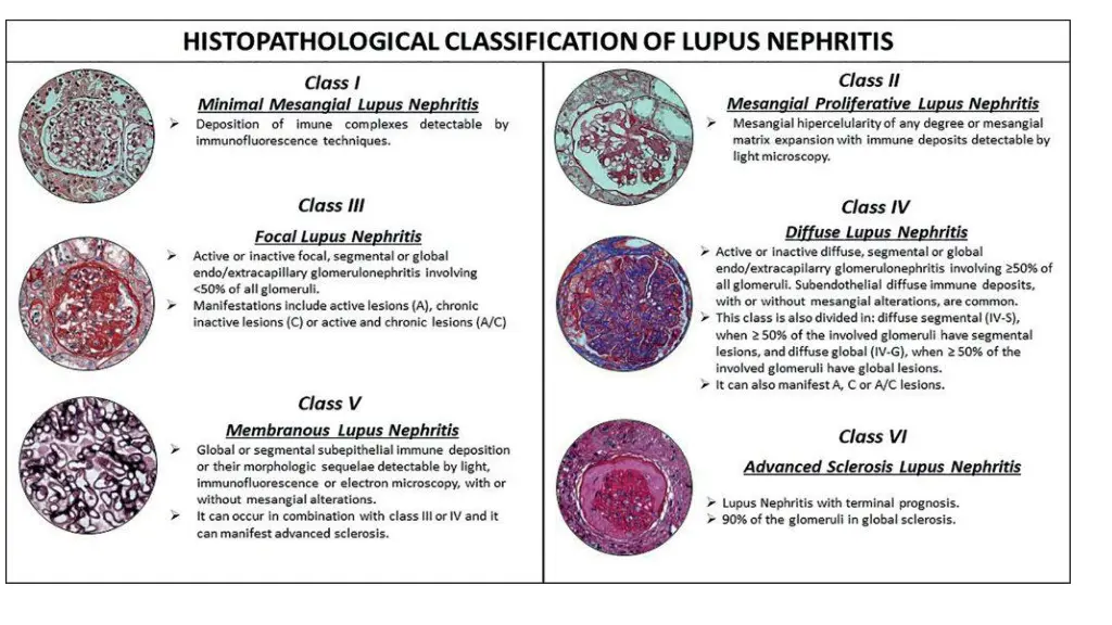 slide6
