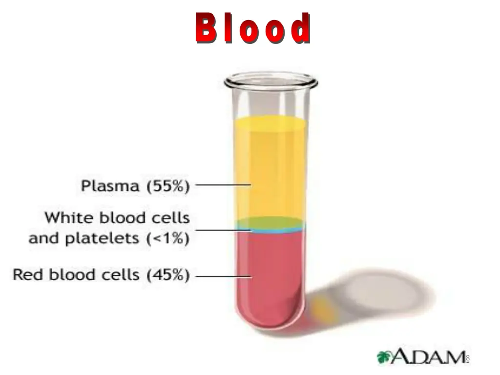 blood