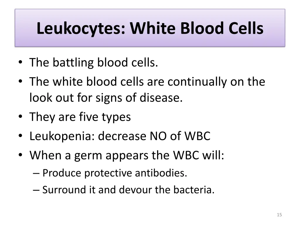 leukocytes white blood cells