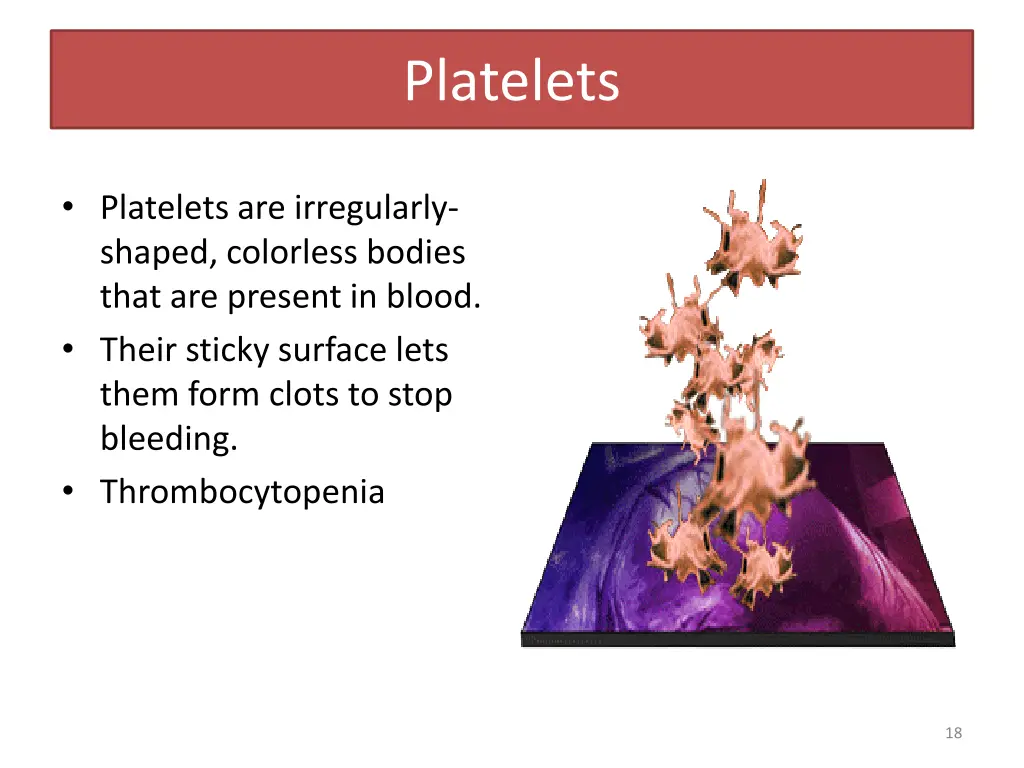 platelets