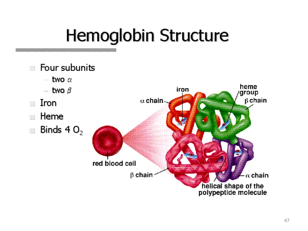 slide47