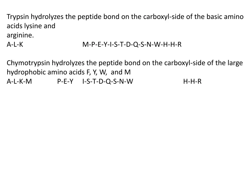 trypsin hydrolyzes the peptide bond