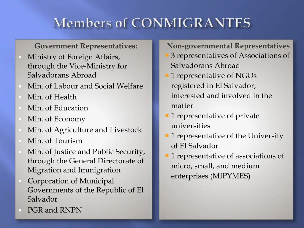 non governmental representatives
