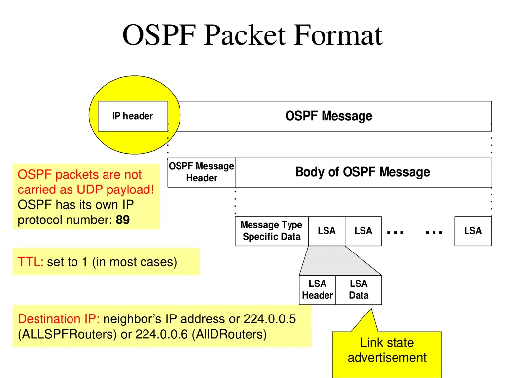 ospf packet format