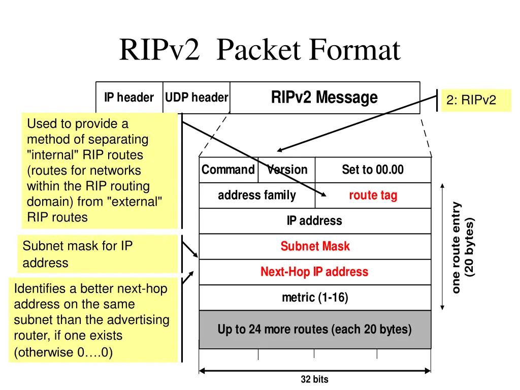 ripv2 packet format 1