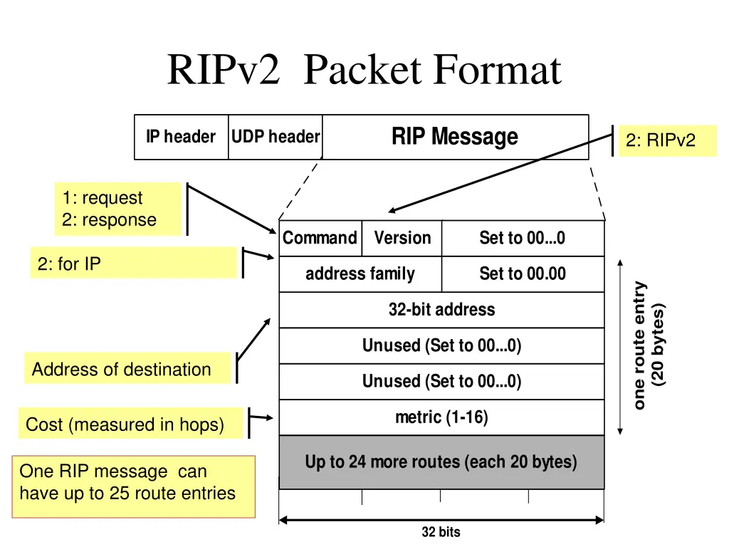 ripv2 packet format