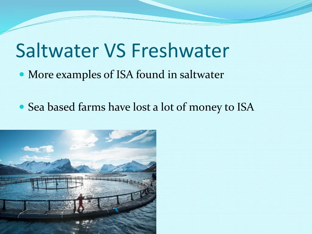 saltwater vs freshwater