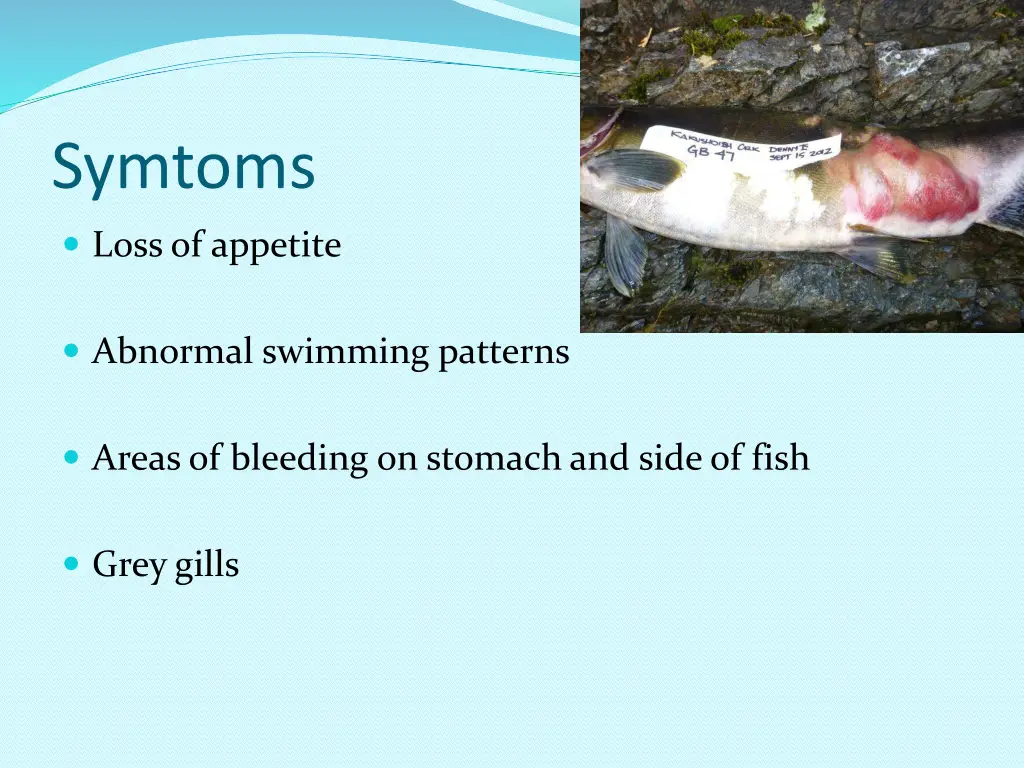 symtoms