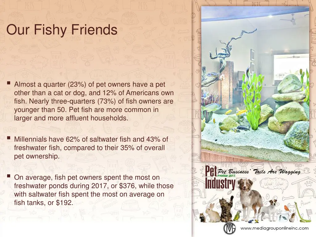 our fishy friends
