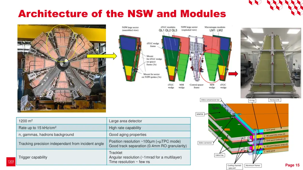 architecture of the nsw and modules