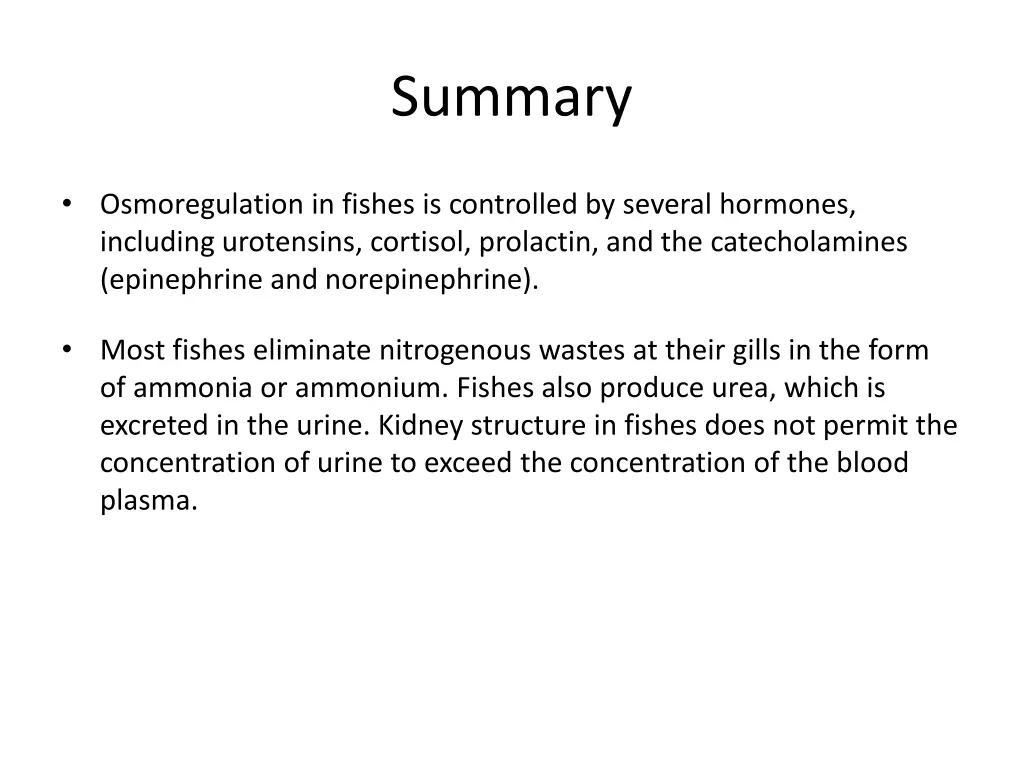 summary 4