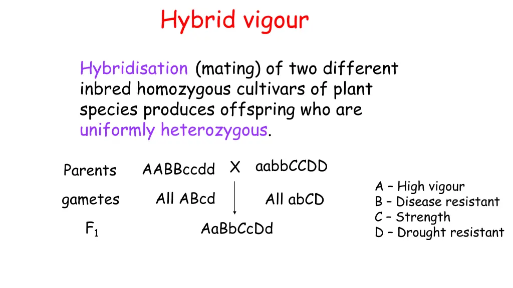 hybrid vigour