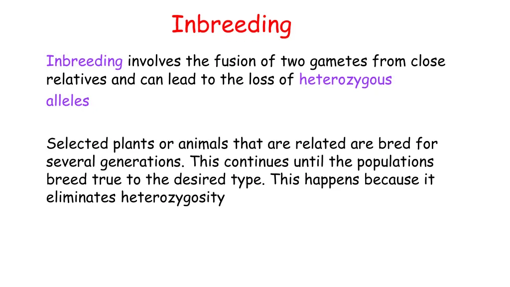 inbreeding 1