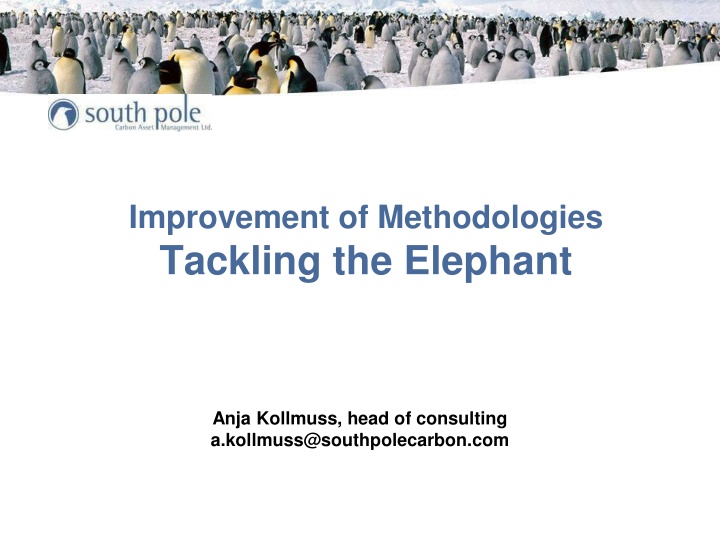 improvement of methodologies tackling the elephant