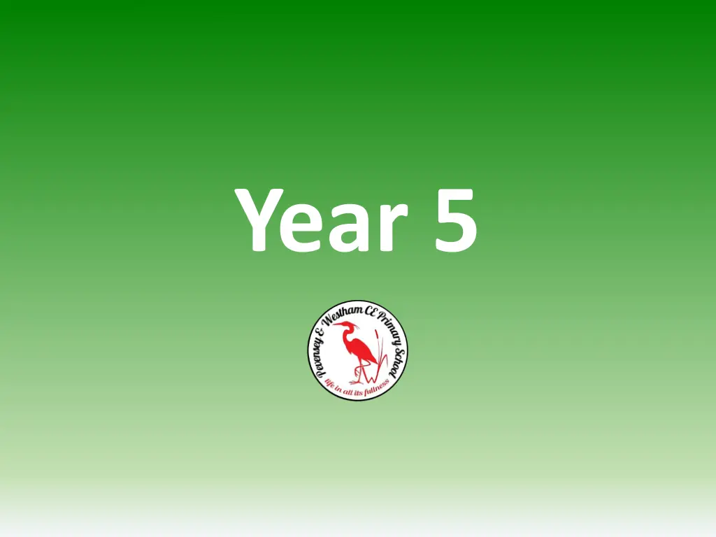 year 5