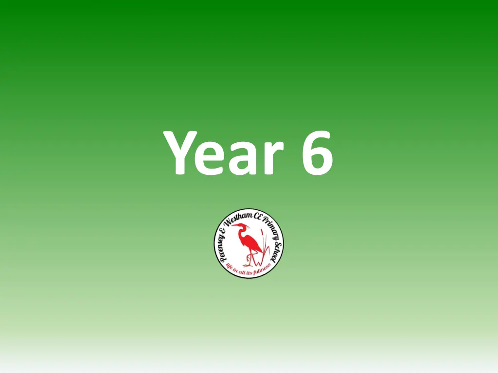 year 6