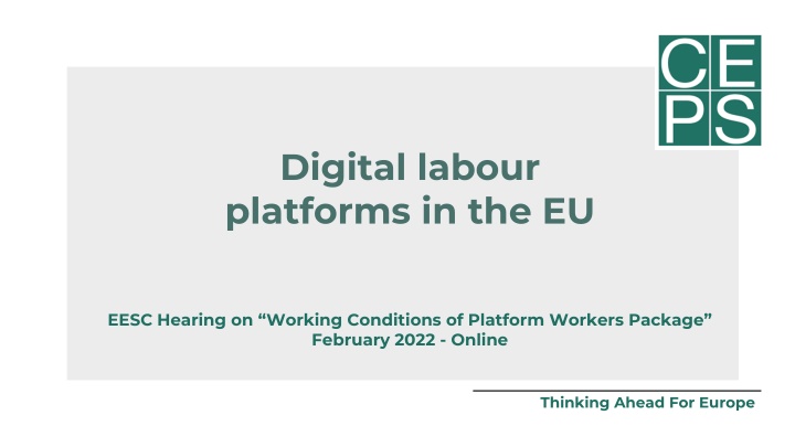 digital labour platforms in the eu