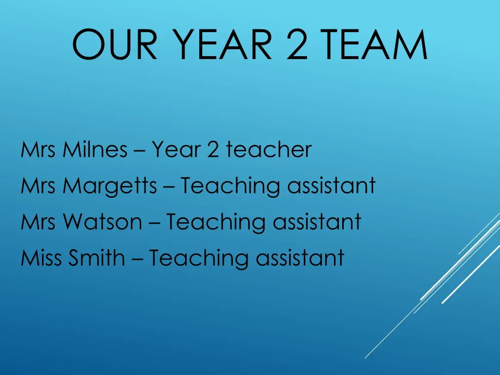 our year 2 team
