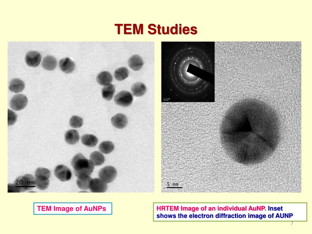 tem studies
