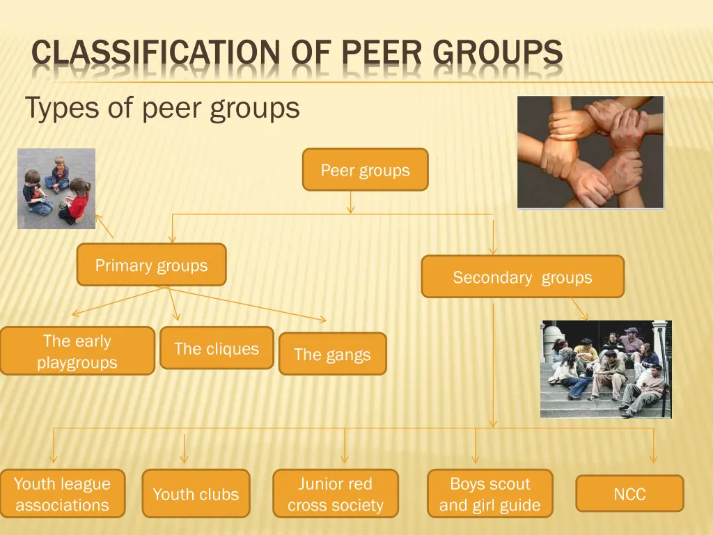 classification of peer groups