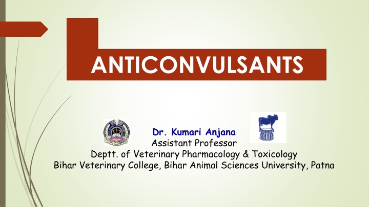 anticonvulsants