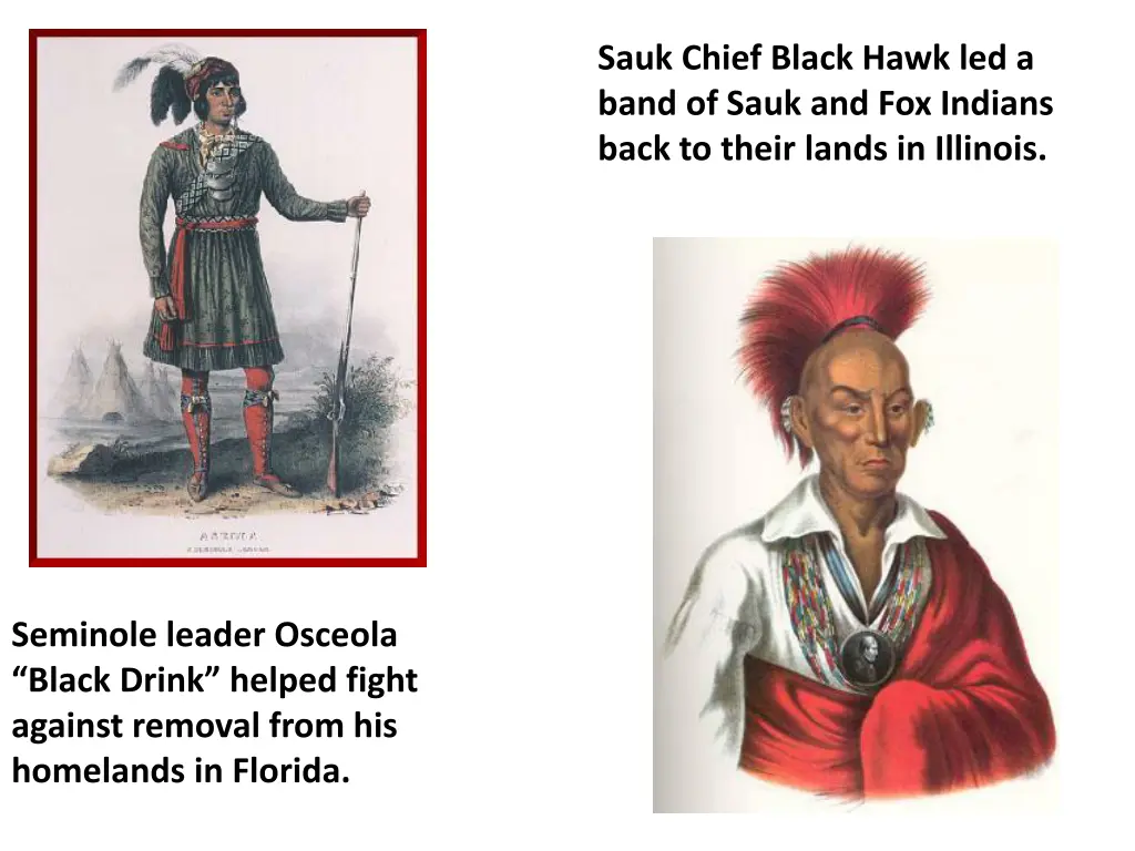 sauk chief black hawk led a band of sauk
