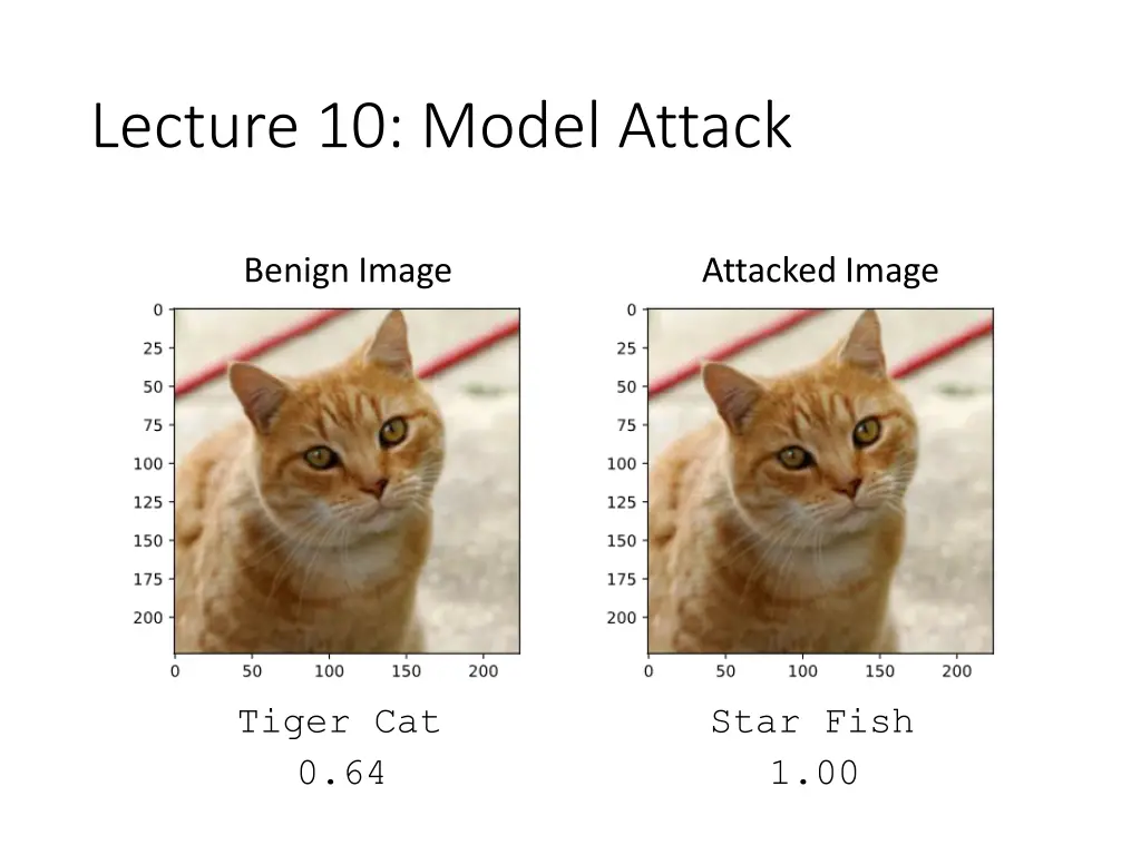 lecture 10 model attack