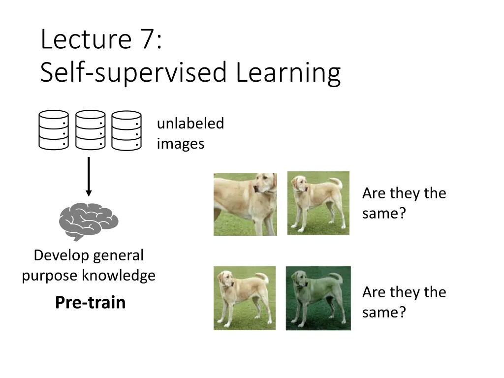 lecture 7 self supervised learning 1