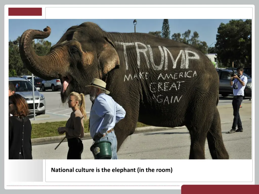 national culture is the elephant in the room