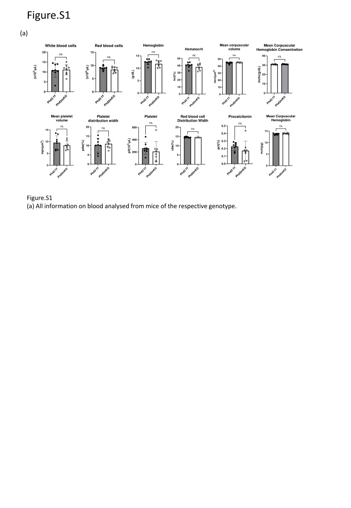 figure s1