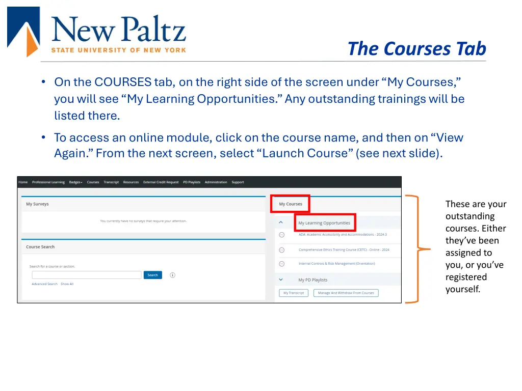 the courses tab