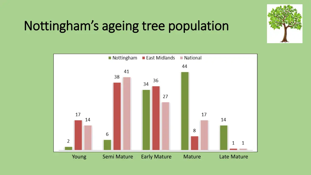 nottingham s ageing tree population nottingham