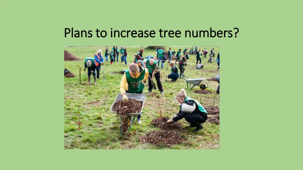 plans to increase tree numbers plans to increase