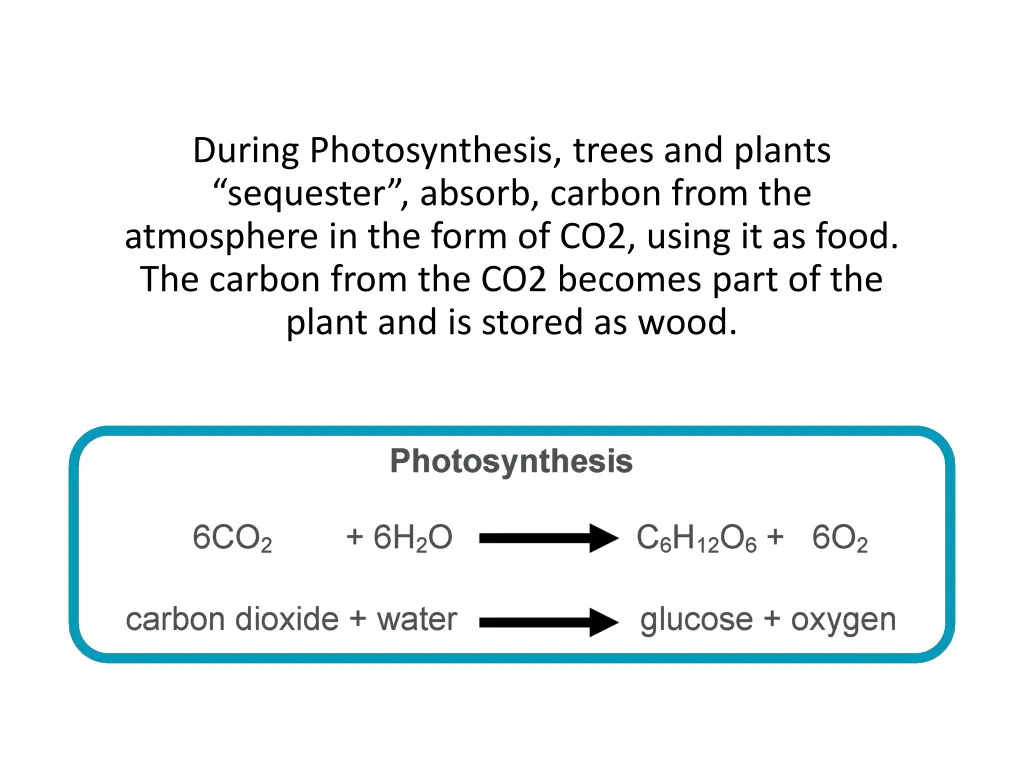 during photosynthesis trees and plants sequester