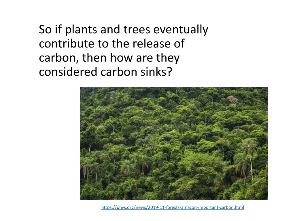 so if plants and trees eventually contribute