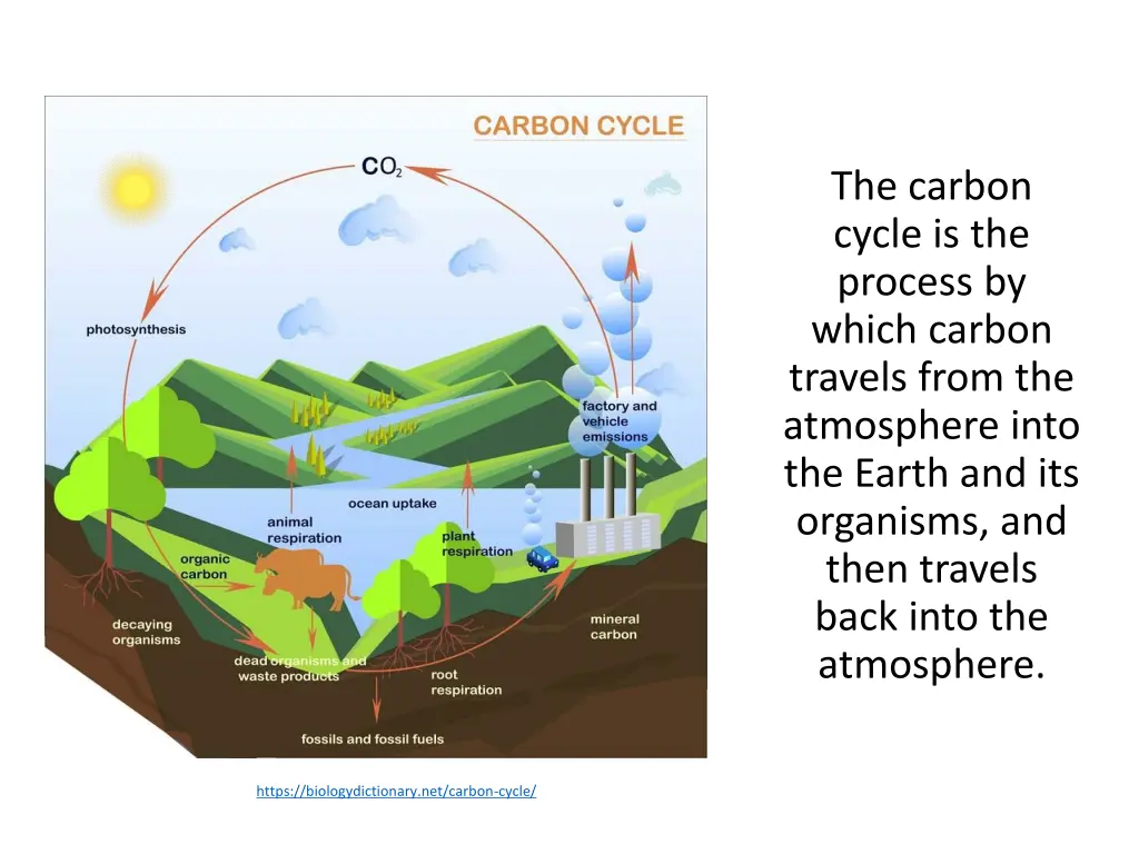 the carbon cycle is the process by which carbon