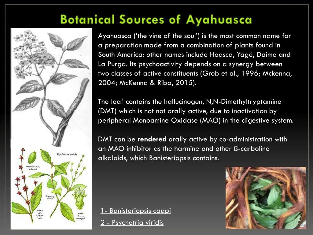 botanical sources of ayahuasca
