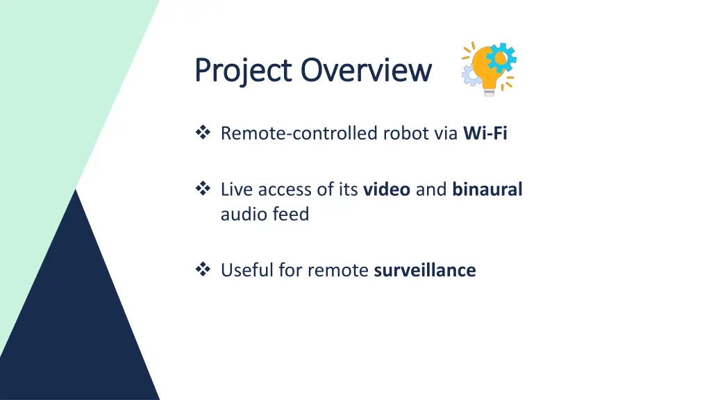 project overview project overview