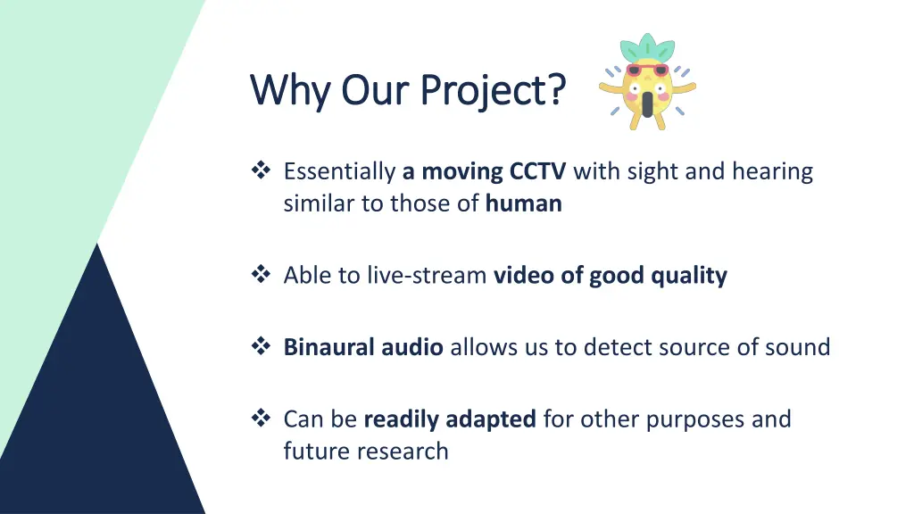 why our project why our project