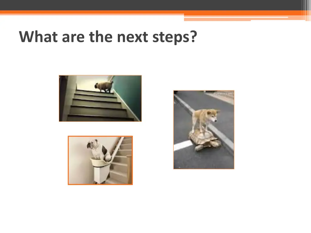 what are the next steps